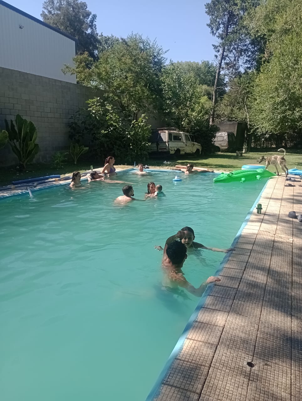 WhatsApp Image 2025-02-02 at 19.118.58.jpeg